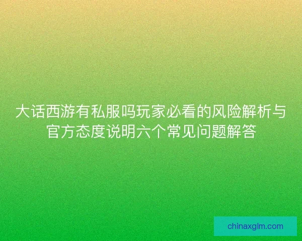大话西游有私服吗玩家必看的风险解析与官方态度说明六个常见问题解答